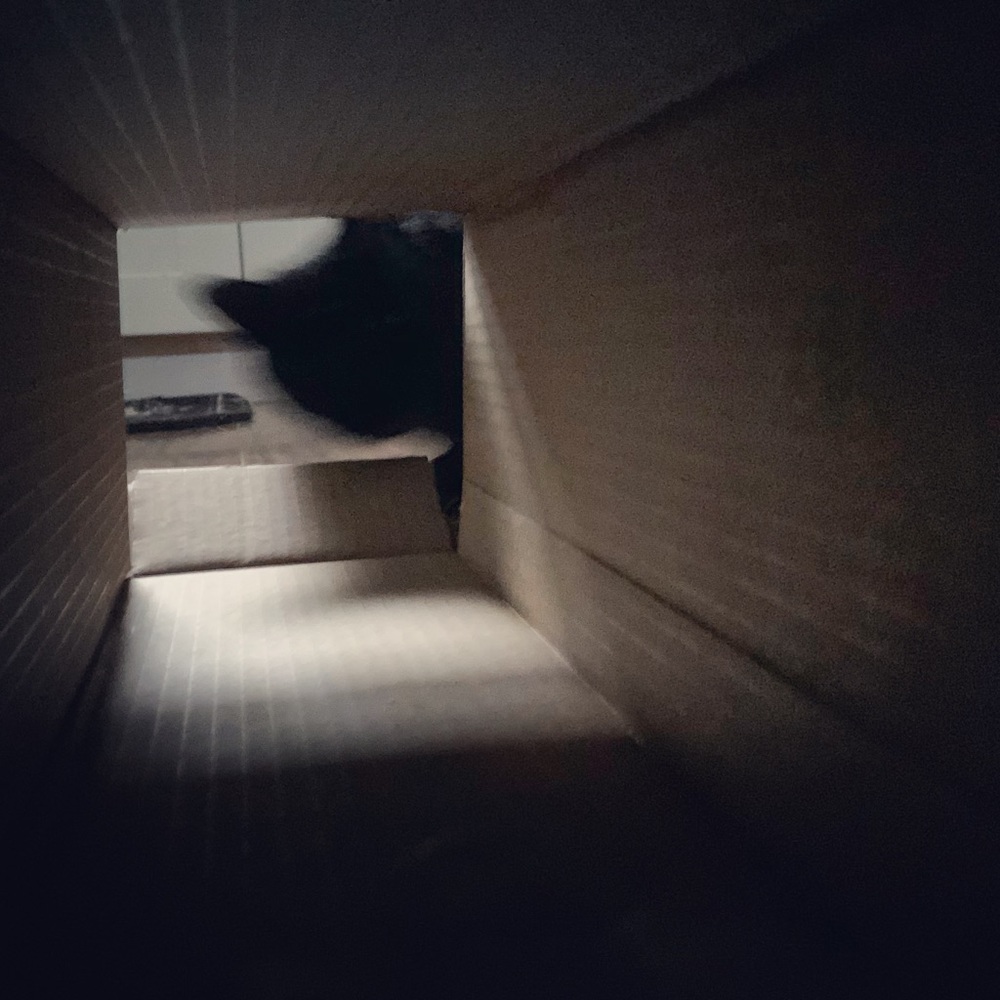 Meet your Posher, Jenna